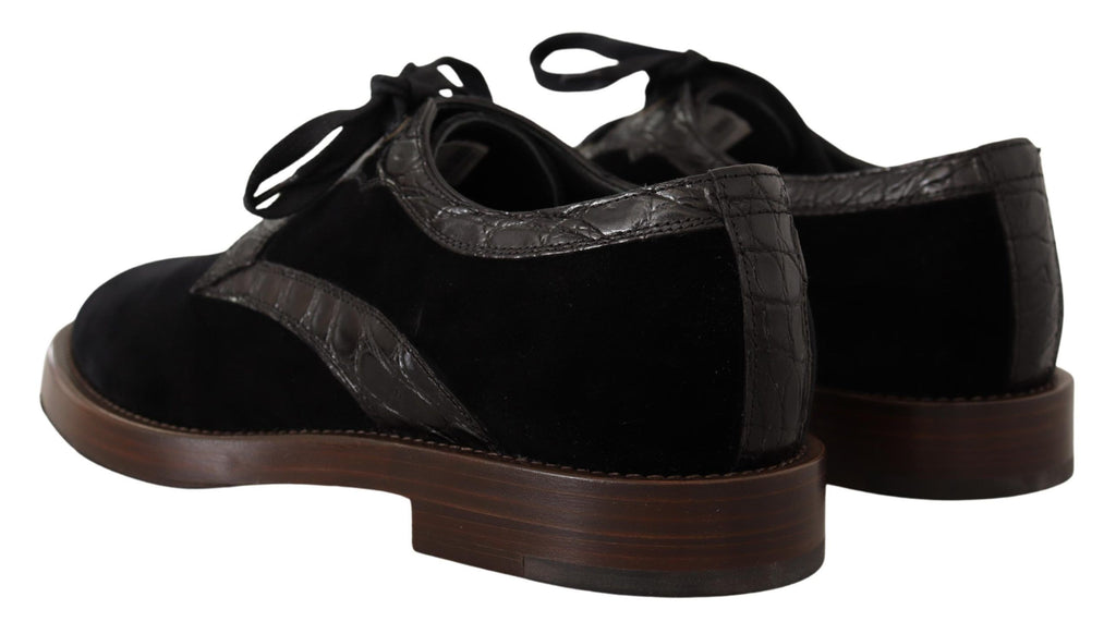 Chaussures habillées élégantes en velours noir et cuir exotique Dolce &amp; Gabbana