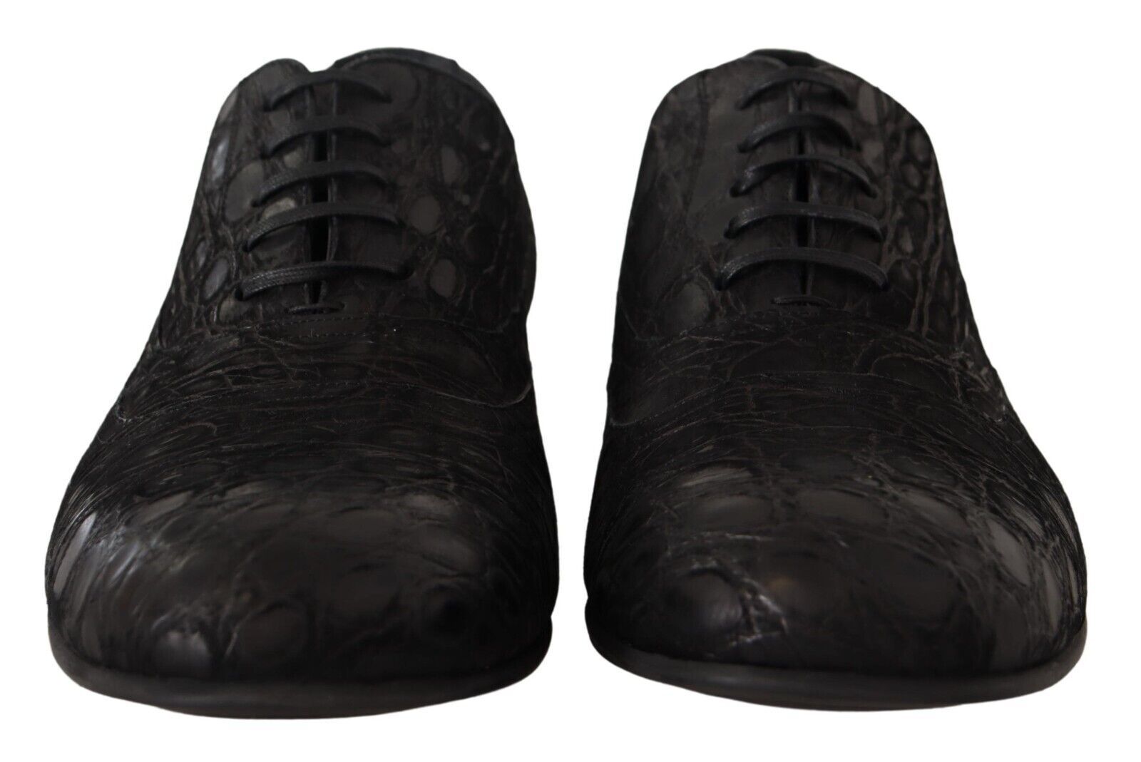 Chaussures Oxford élégantes en cuir exotique Dolce &amp; Gabbana