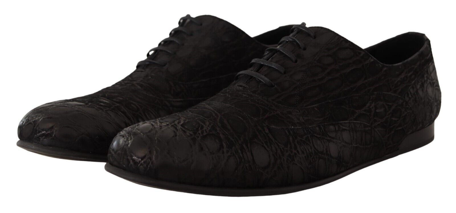 Chaussures Oxford élégantes en cuir exotique Dolce &amp; Gabbana
