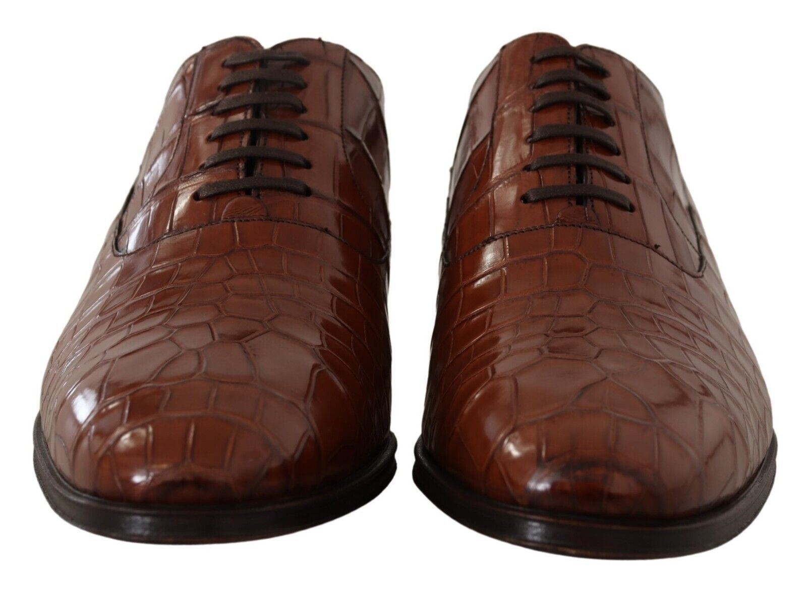 Chaussures habillées élégantes en cuir de crocodile exotique Dolce &amp; Gabbana