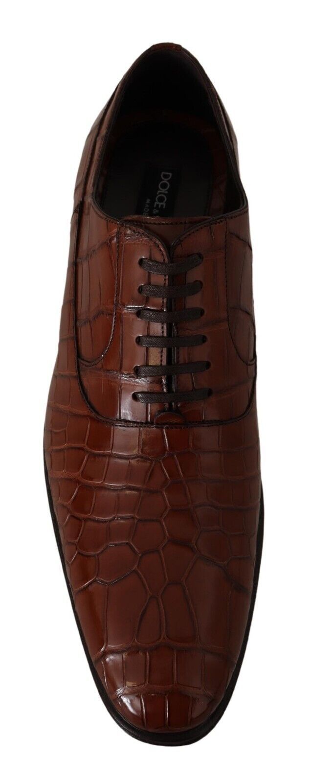 Chaussures habillées élégantes en cuir de crocodile exotique Dolce &amp; Gabbana