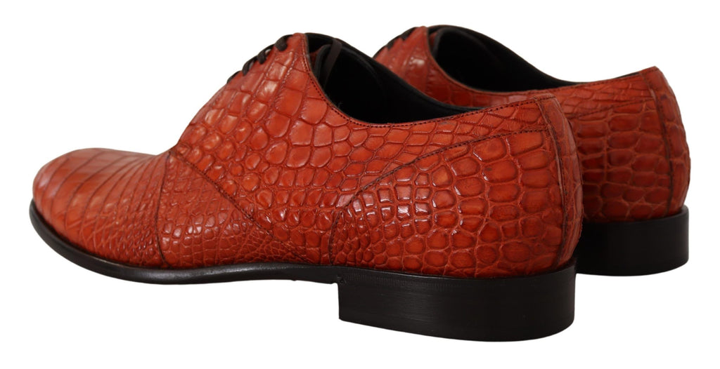 Dolce &amp; Gabbana – Exotische, orangefarbene Schnürschuhe aus Krokodilleder