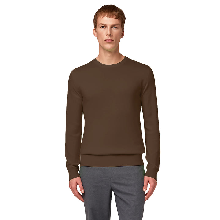 Alpha Studio Sweaters Brown Man