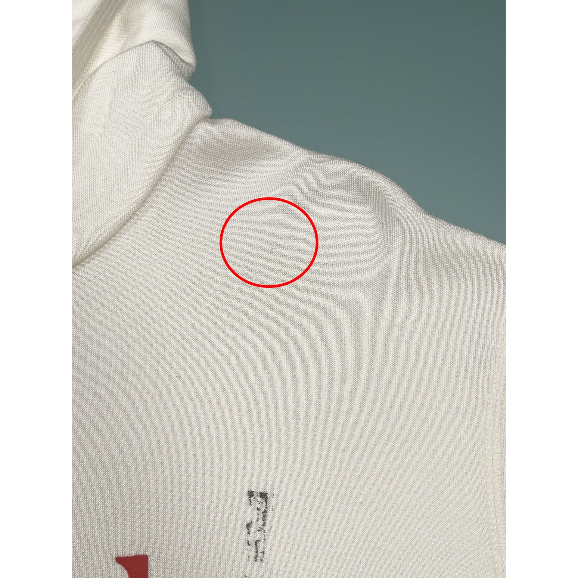 Alexander McQueen Hoodie Logo Sweatshirt