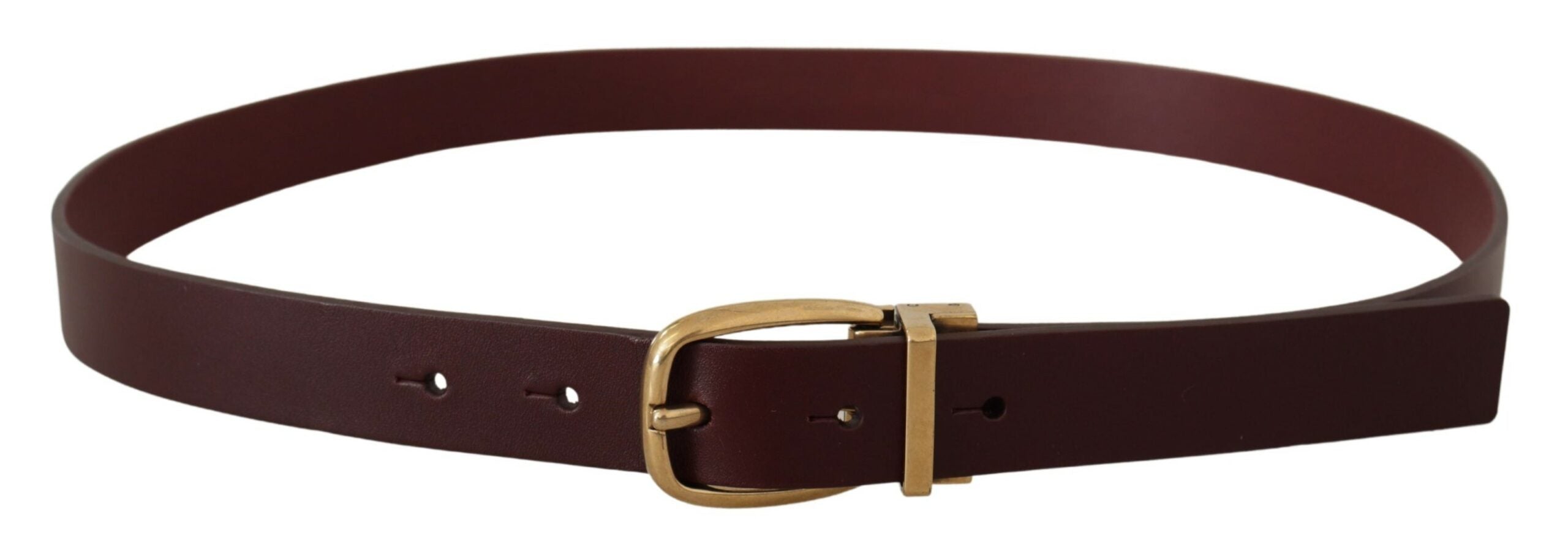 Ceinture élégante en cuir marron Dolce &amp; Gabbana avec boucle dorée