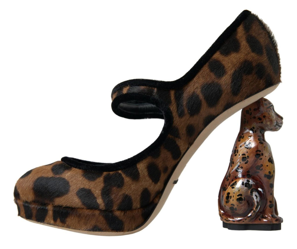 Escarpins à talons léopard élégants Dolce &amp; Gabbana pour une sophistication chic