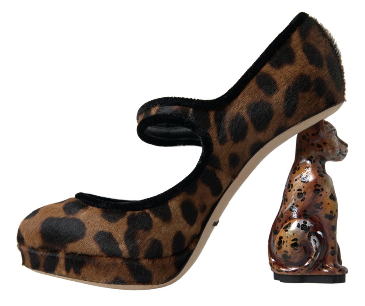 Escarpins à talons léopard élégants Dolce &amp; Gabbana pour une sophistication chic