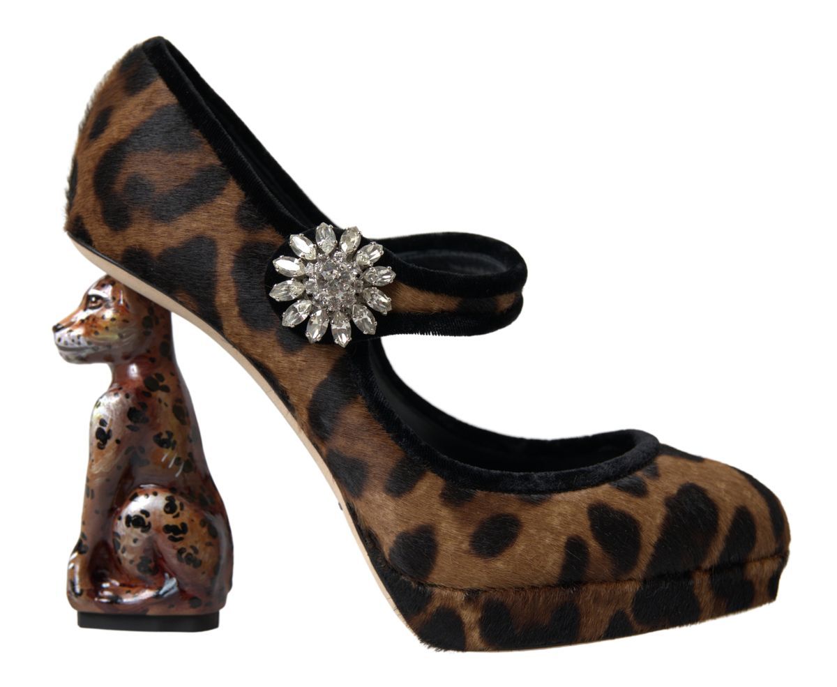 Escarpins à talons léopard élégants Dolce &amp; Gabbana pour une sophistication chic