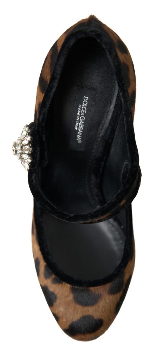 Escarpins à talons léopard élégants Dolce &amp; Gabbana pour une sophistication chic