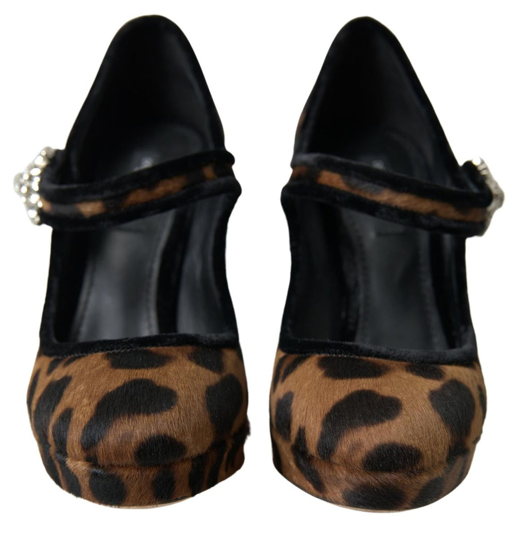 Escarpins à talons léopard élégants Dolce &amp; Gabbana pour une sophistication chic