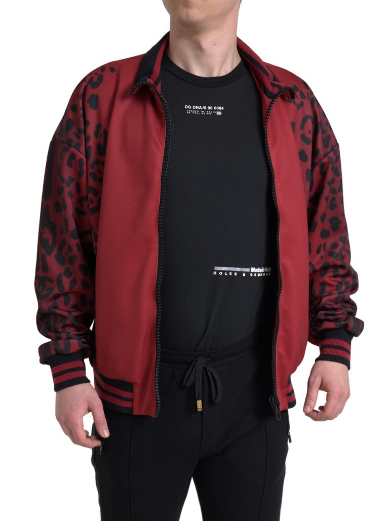 Blouson aviateur rouge à imprimé léopard Dolce &amp; Gabbana