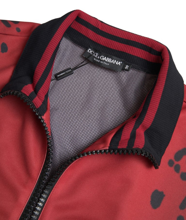Blouson aviateur rouge à imprimé léopard Dolce &amp; Gabbana