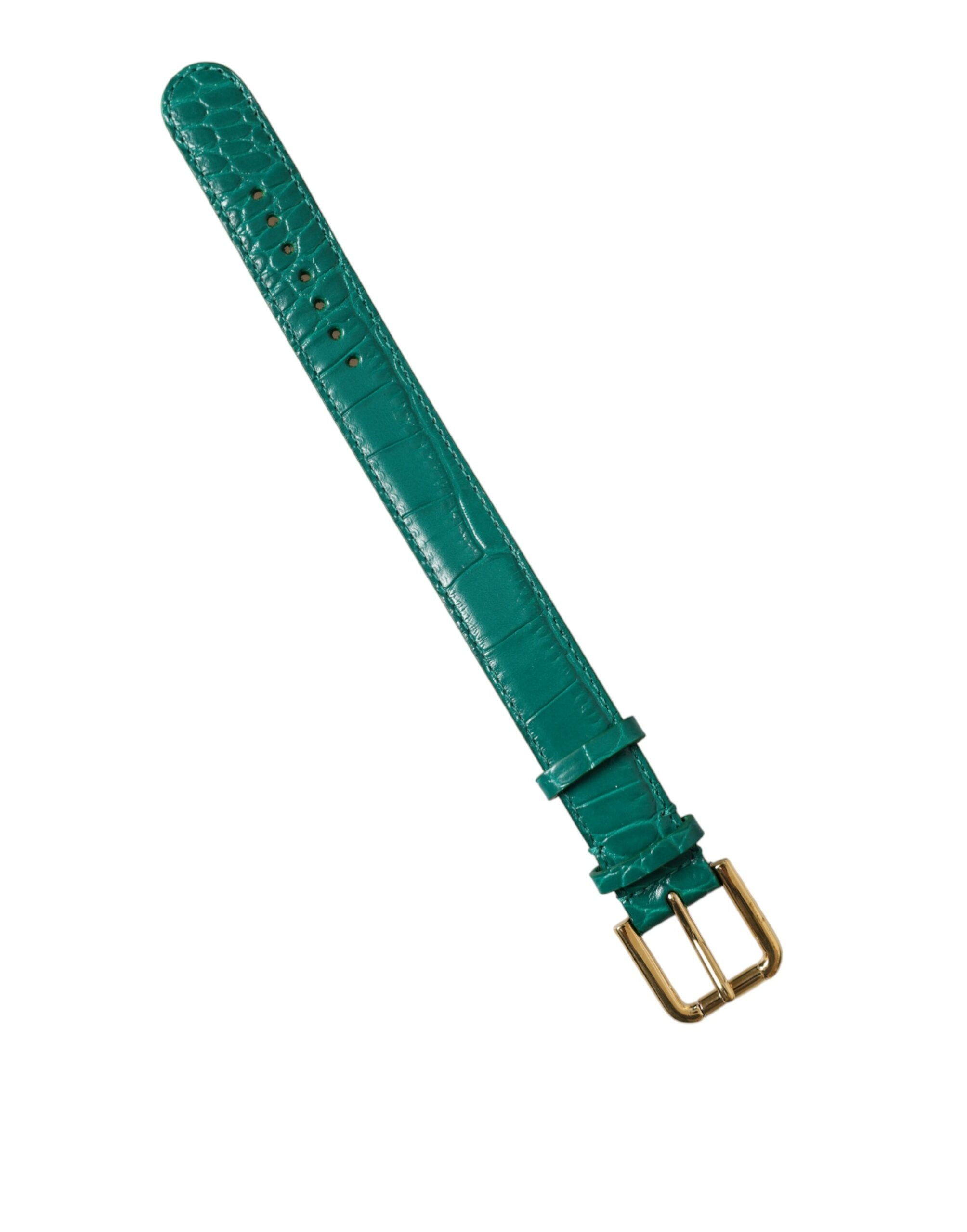 Dolce &amp; Gabbana Elegantes grünes Lederhalsband