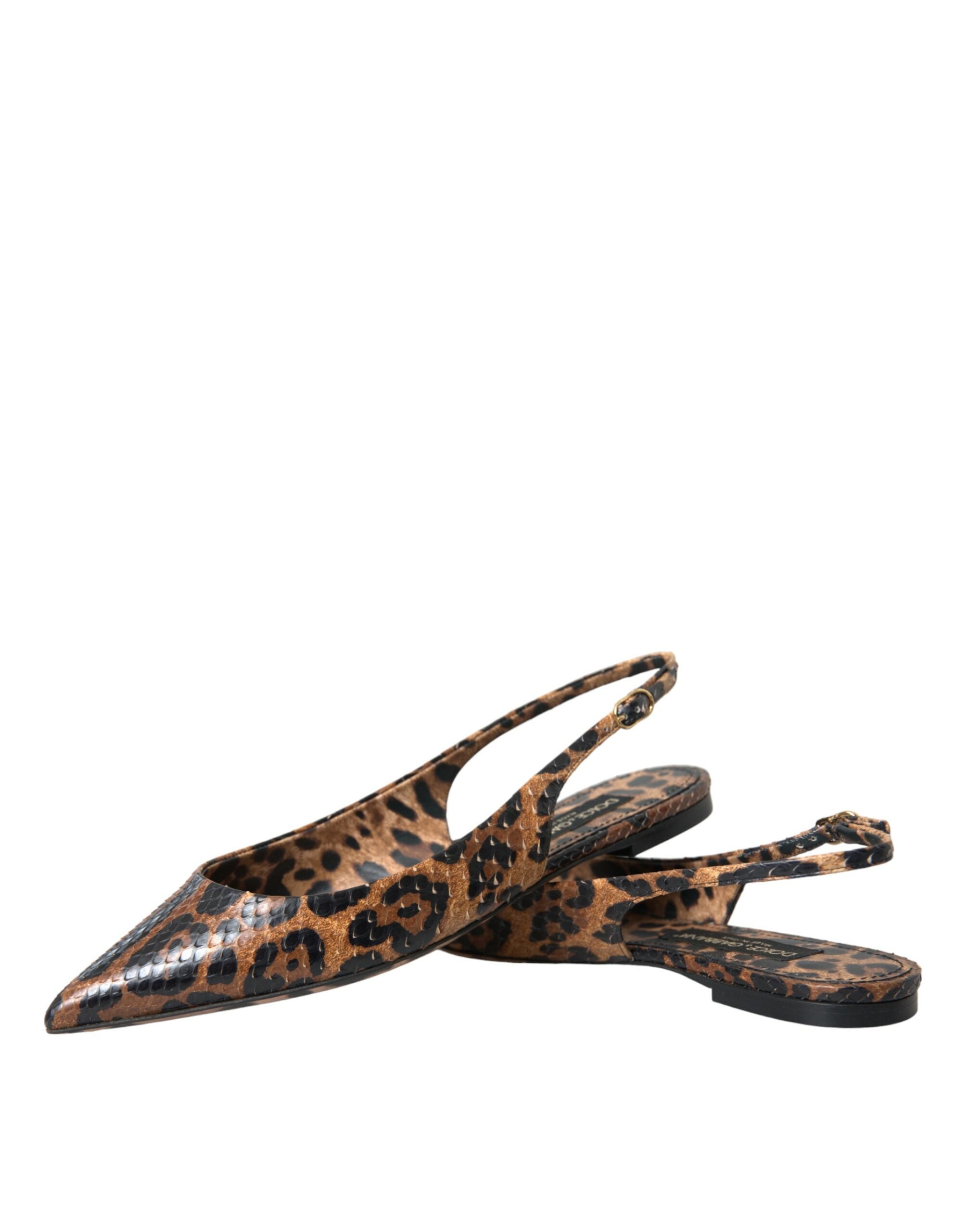 Chaussures à bride arrière en peau exotique léopard marron Dolce &amp; Gabbana