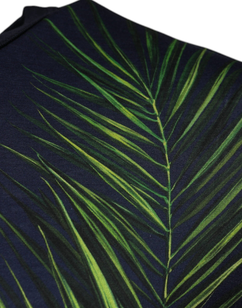 T-shirt ras du cou à manches courtes et imprimé arbre bleu Dolce &amp; Gabbana