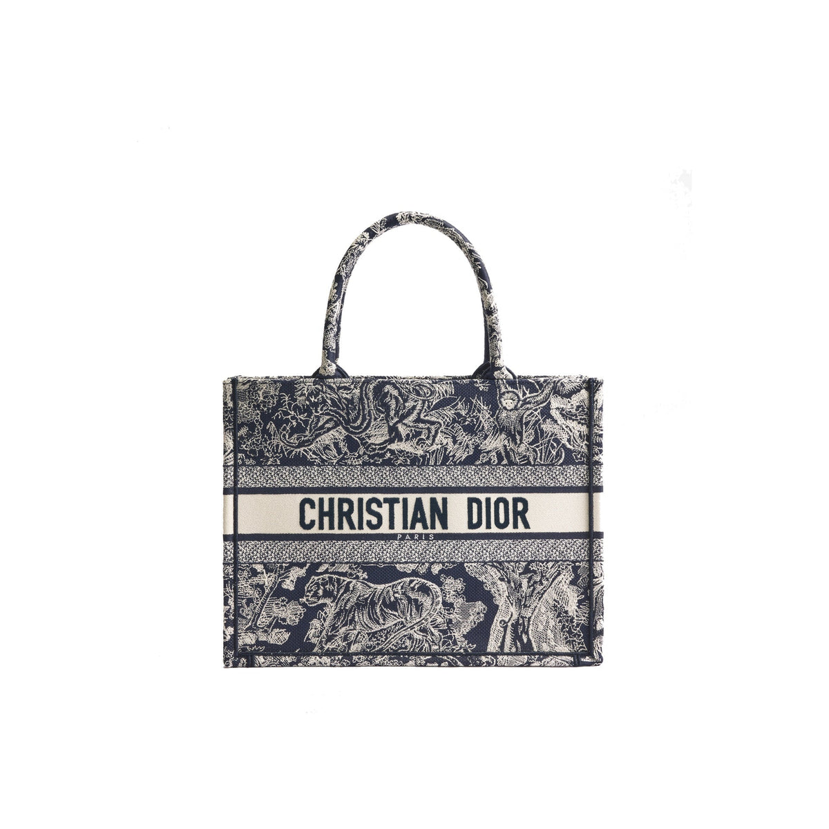 Dior Medium Book Tote Bag