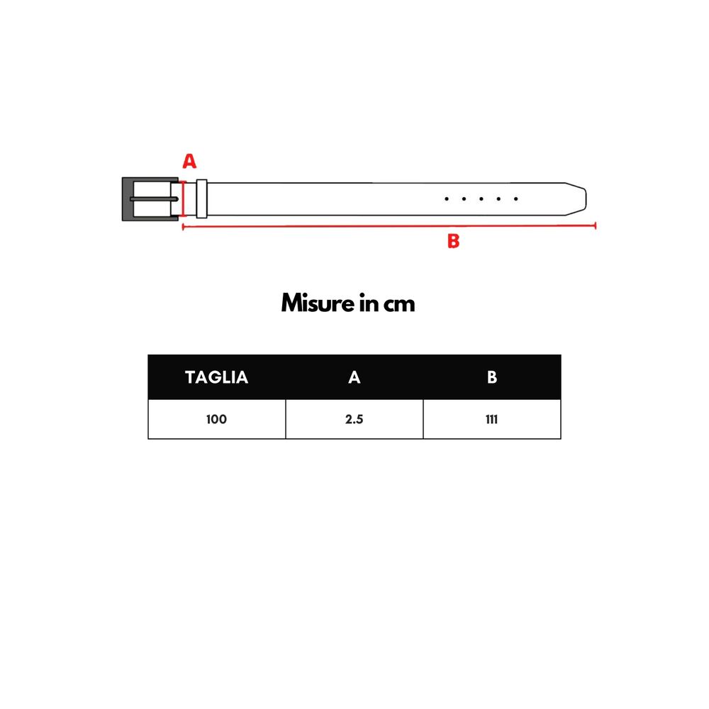 Ceinture en cuir de veau marron Dolce &amp; Gabbana