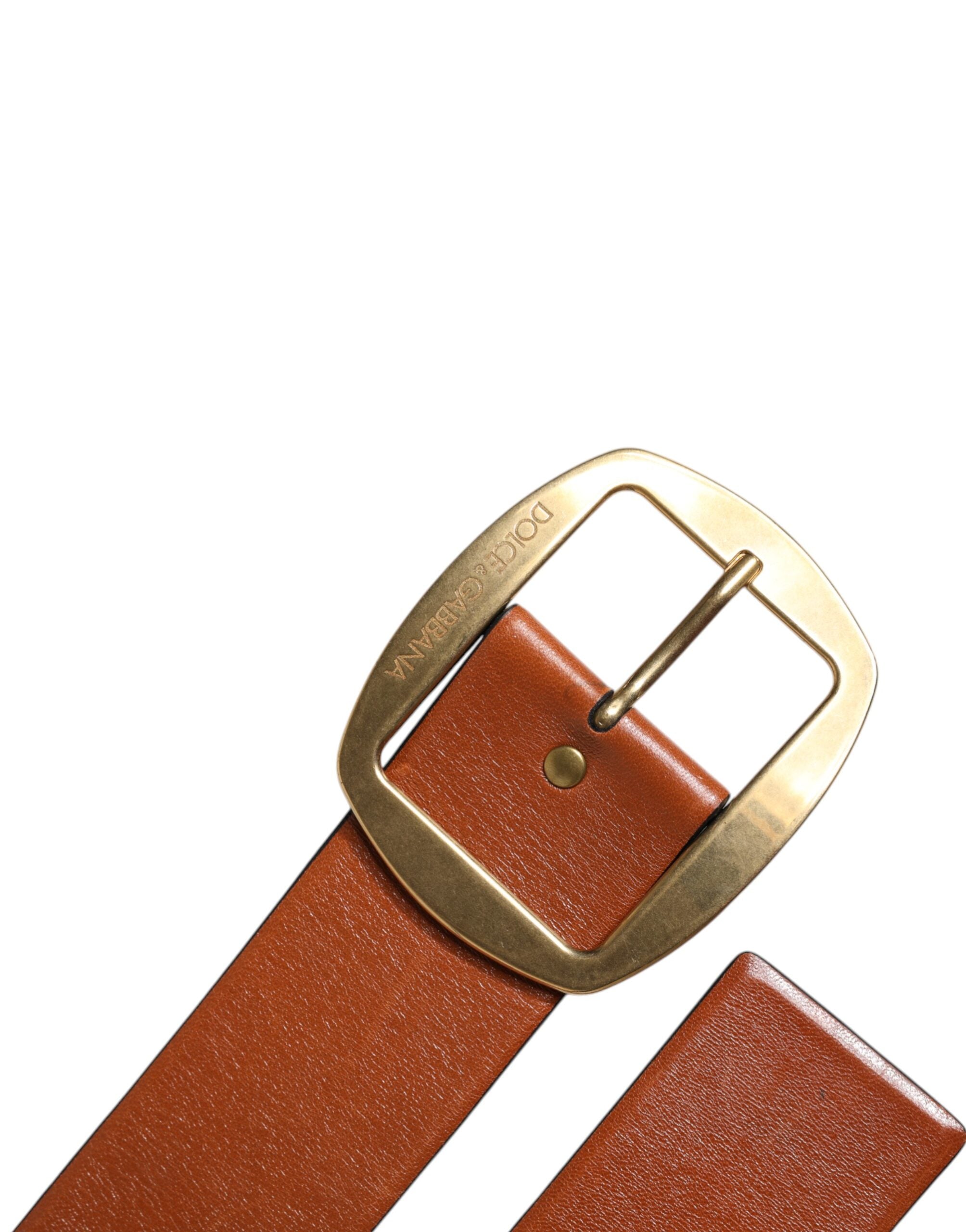 Ceinture classique Dolce &amp; Gabbana en cuir marron avec boucle en métal doré