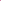 Dolce & Gabbana Pink Waist Ribbon Wide Bow Logo Belt