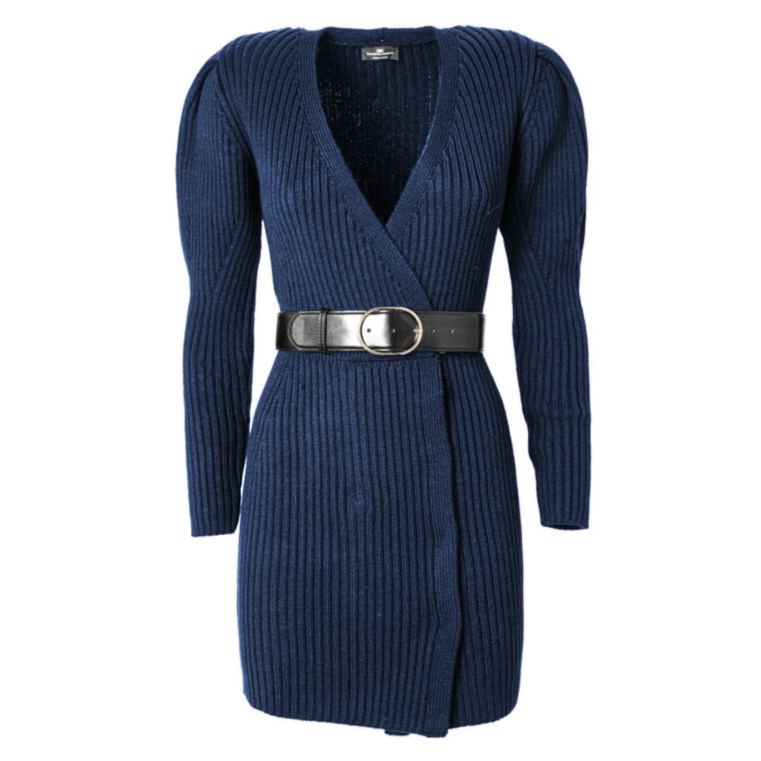Elisabetta Franchi Dress Blue Woman