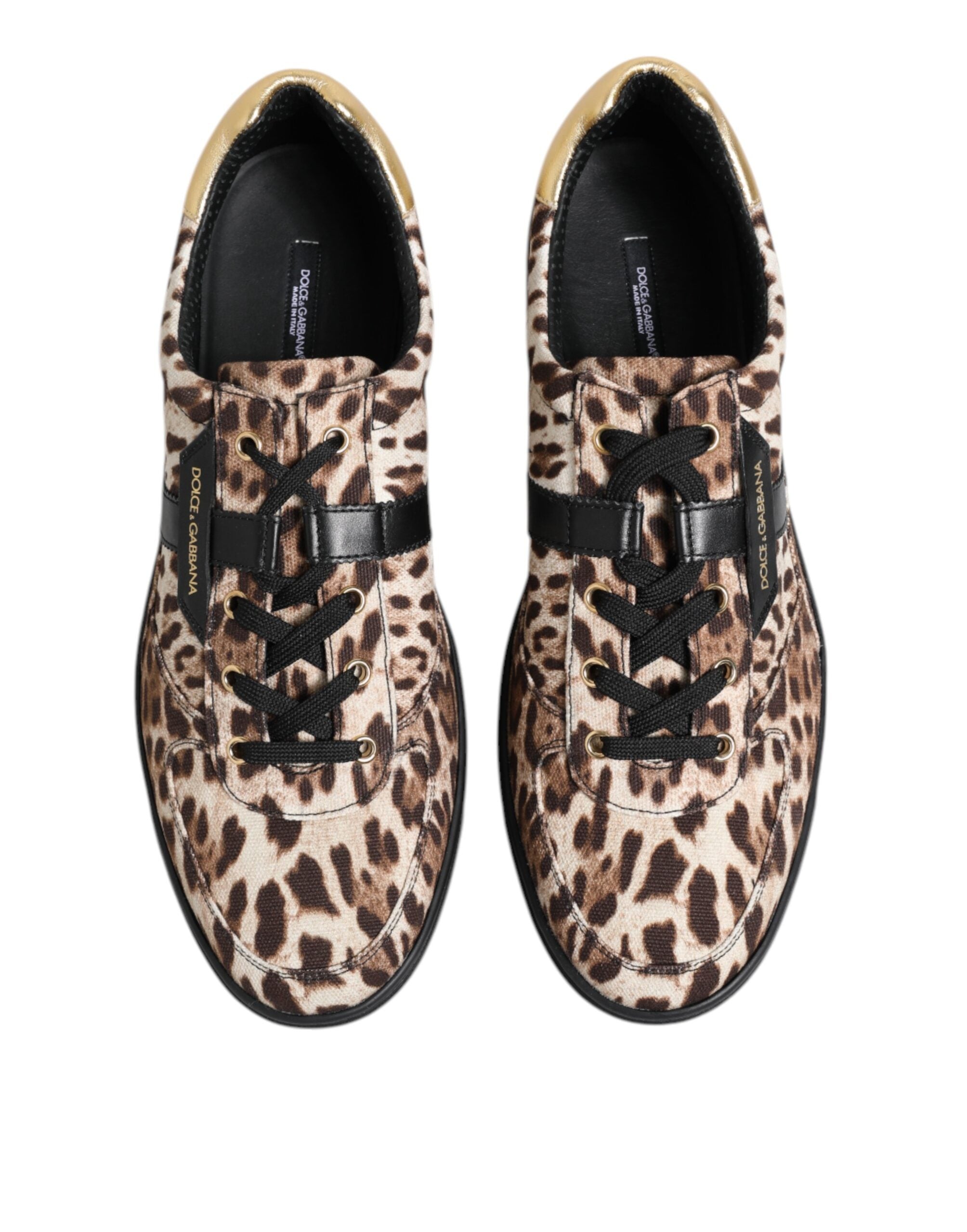 Baskets en coton marron à imprimé léopard Dolce &amp; Gabbana