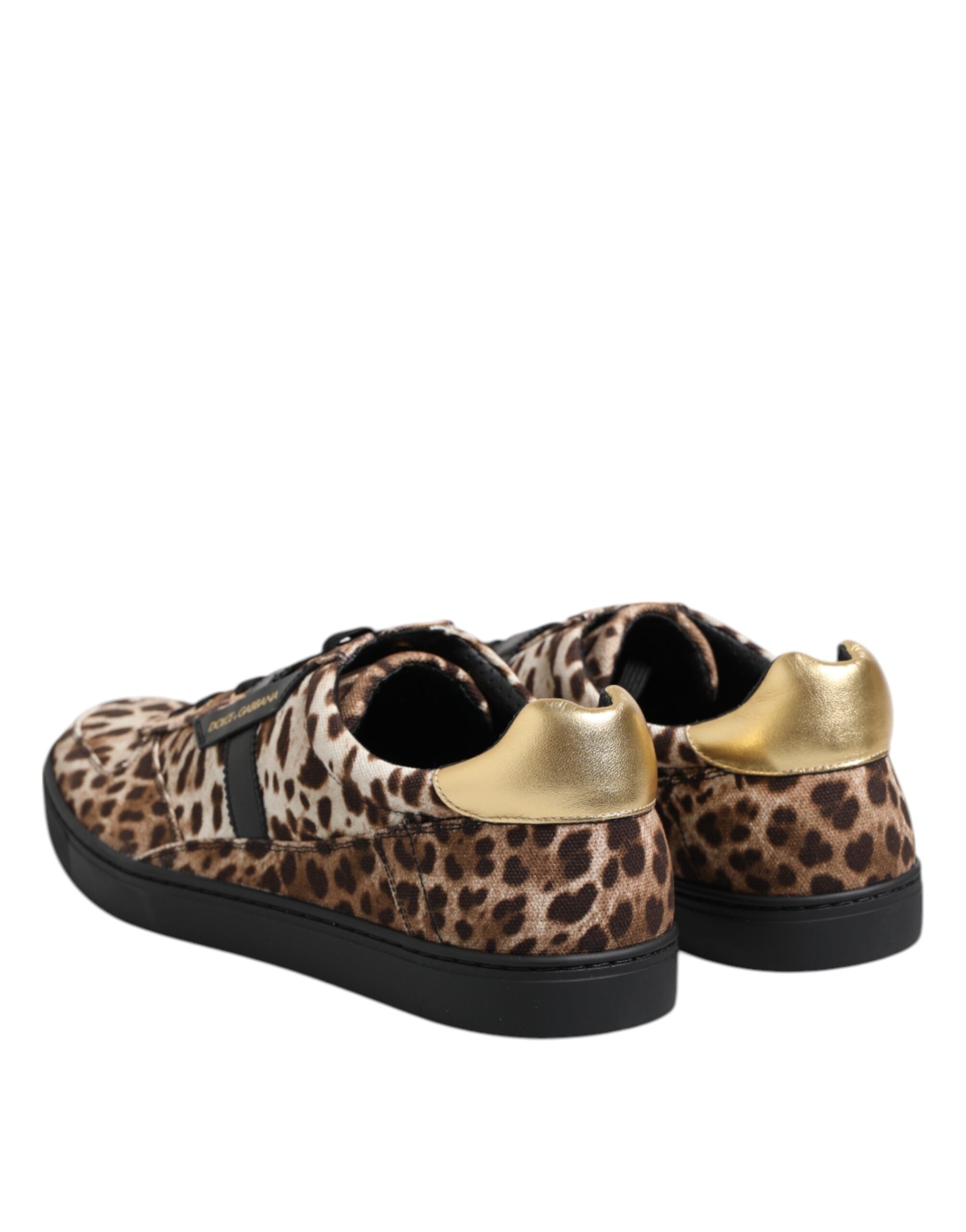 Baskets en coton marron à imprimé léopard Dolce &amp; Gabbana