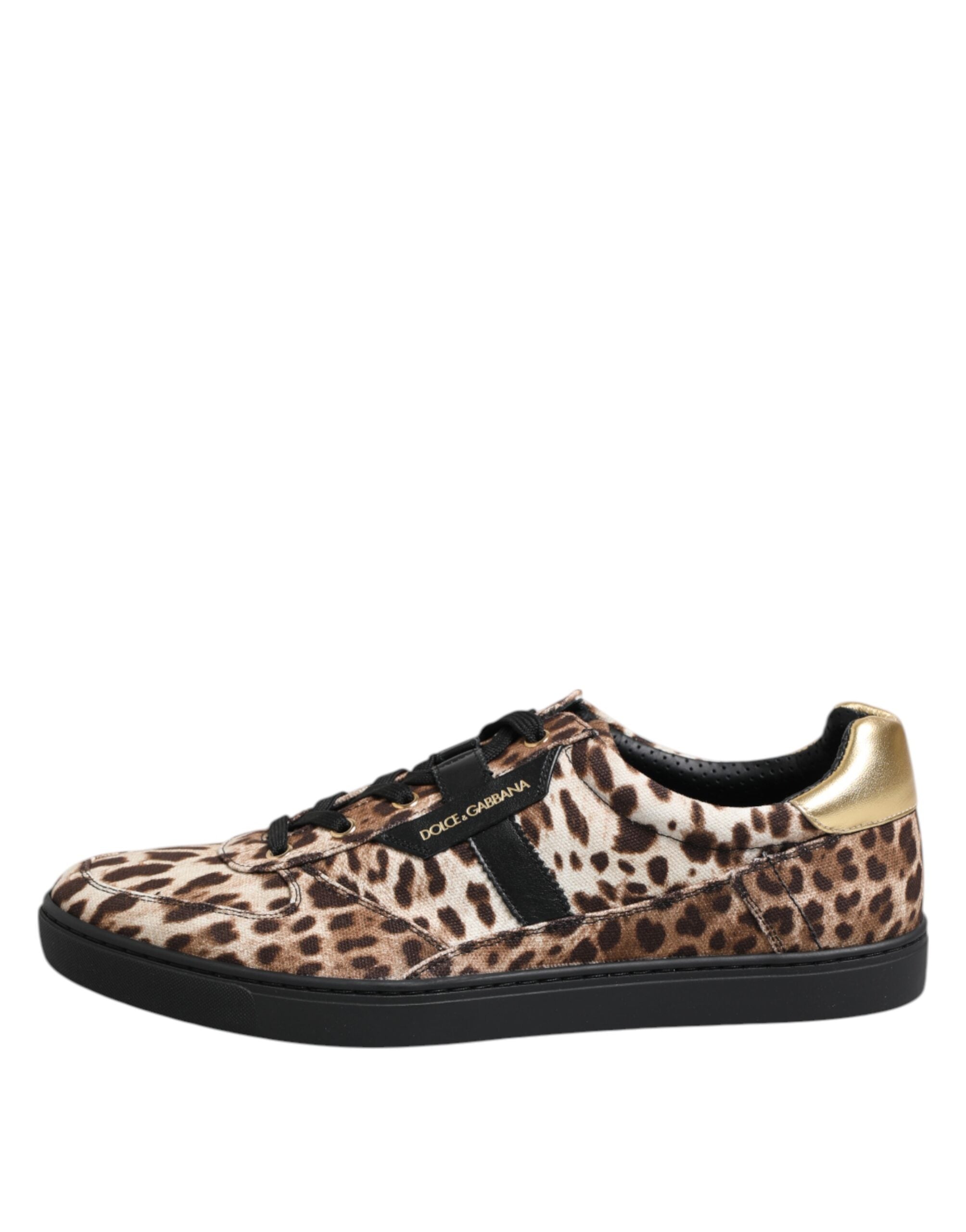 Baskets en coton marron à imprimé léopard Dolce &amp; Gabbana