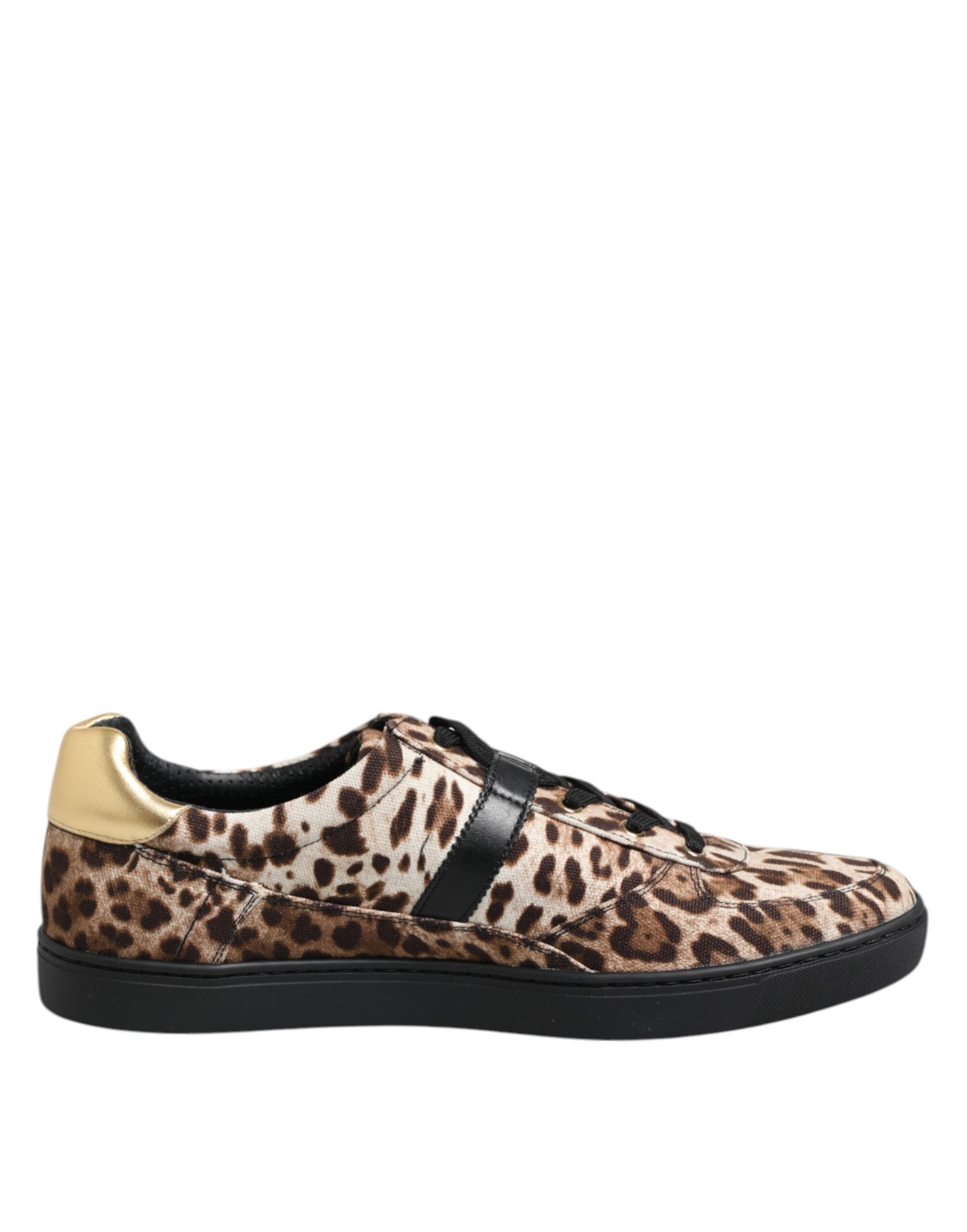 Baskets en coton marron à imprimé léopard Dolce &amp; Gabbana