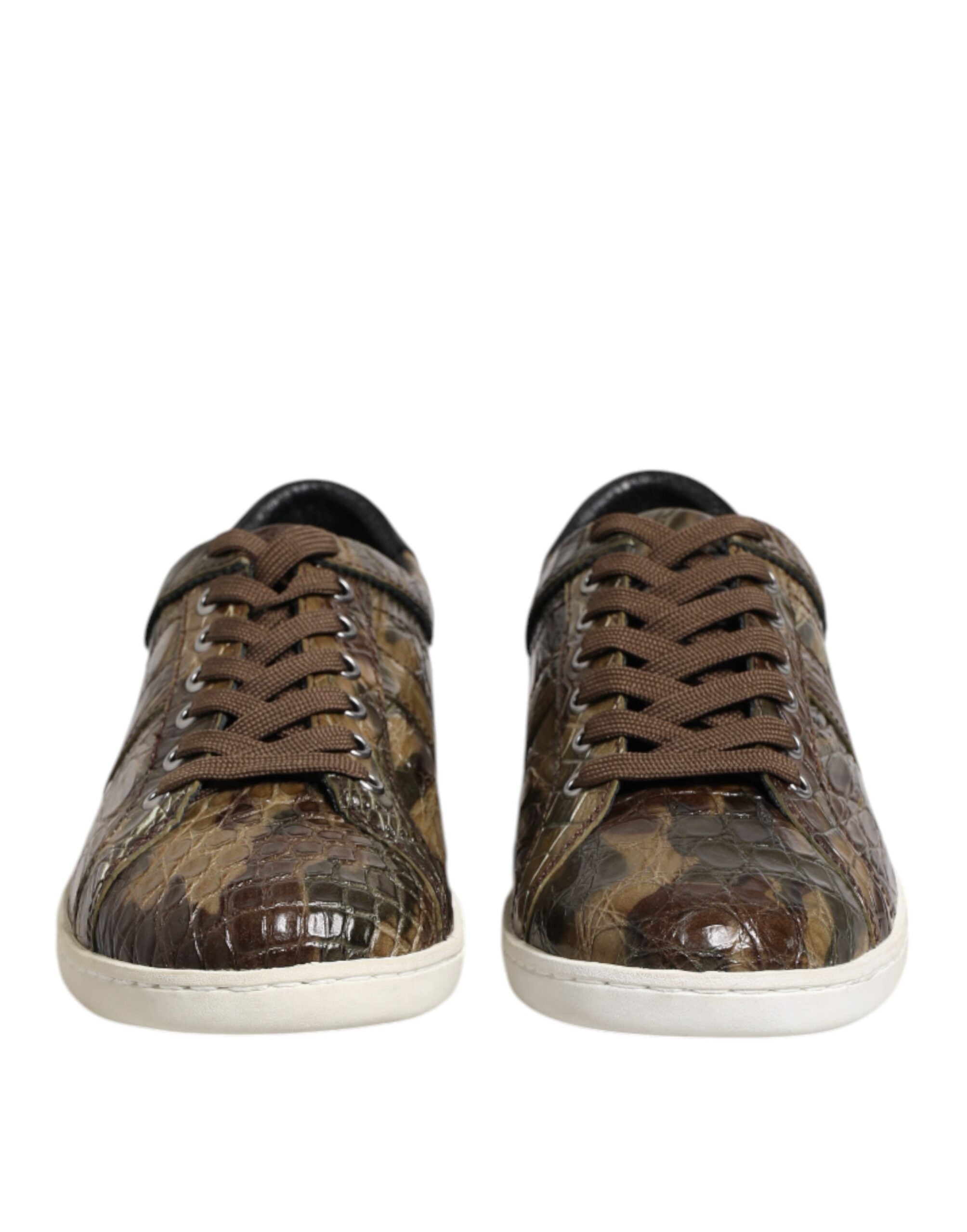 Baskets basses Dolce &amp; Gabbana en cuir exotique marron