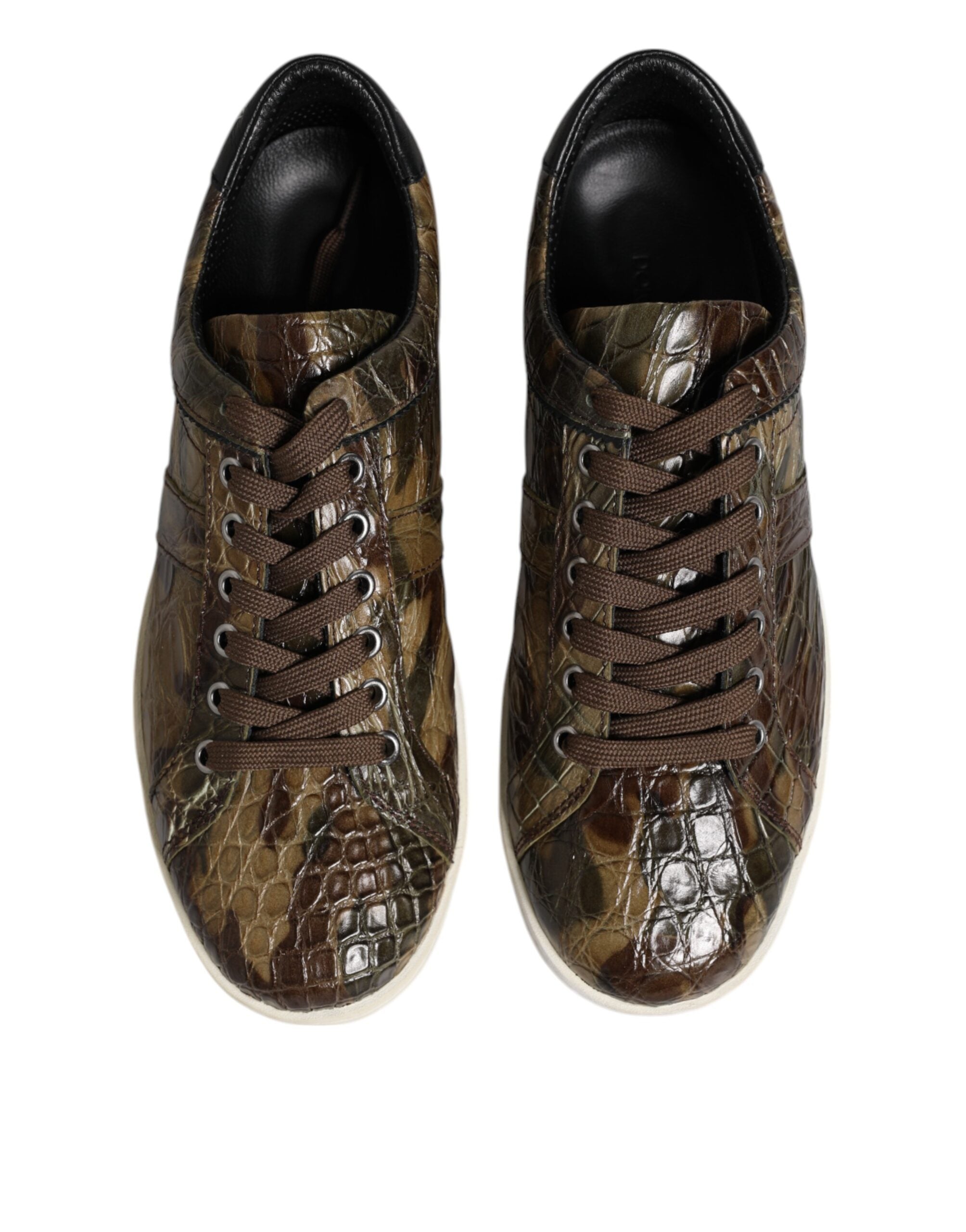 Baskets basses Dolce &amp; Gabbana en cuir exotique marron