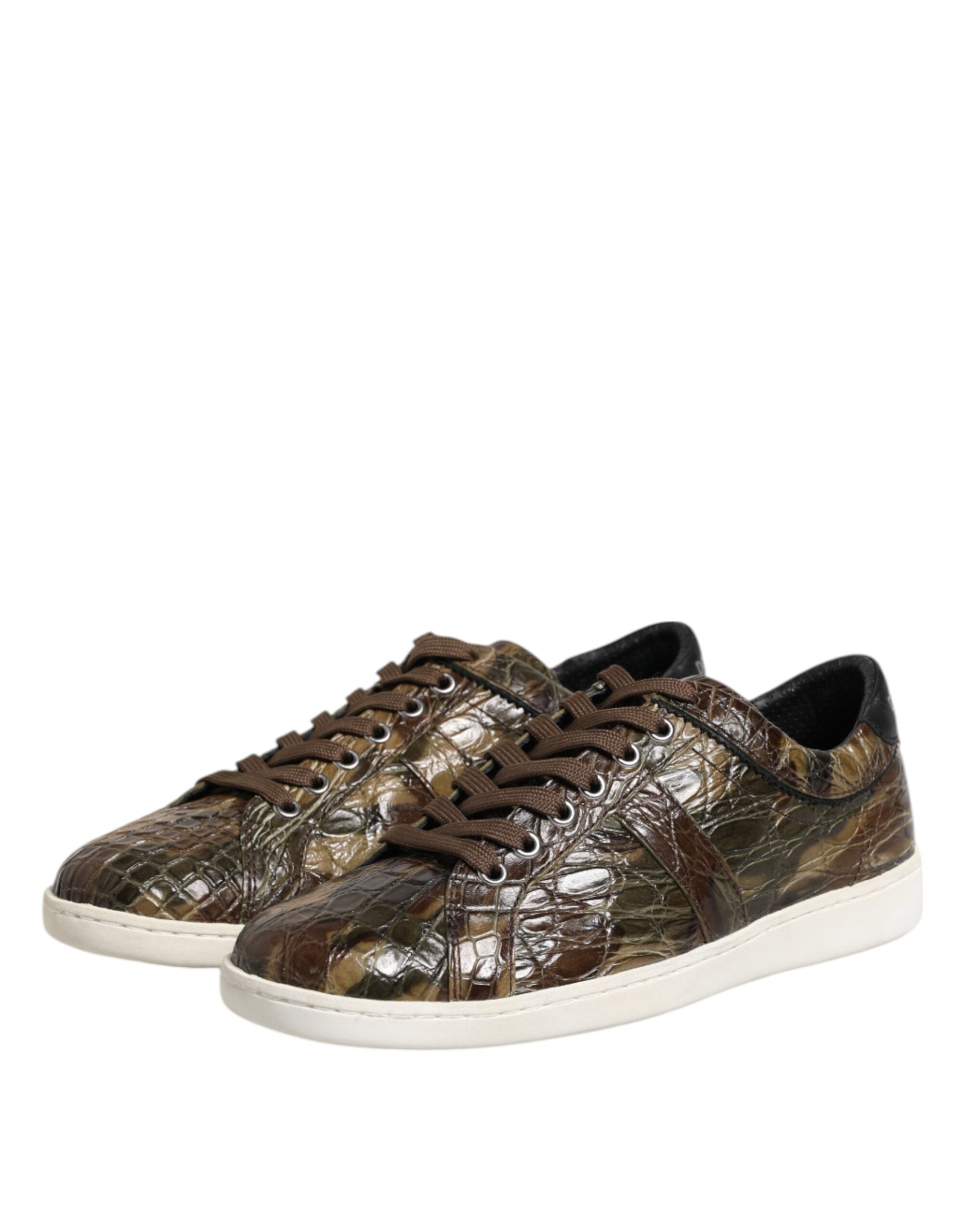 Baskets basses Dolce &amp; Gabbana en cuir exotique marron
