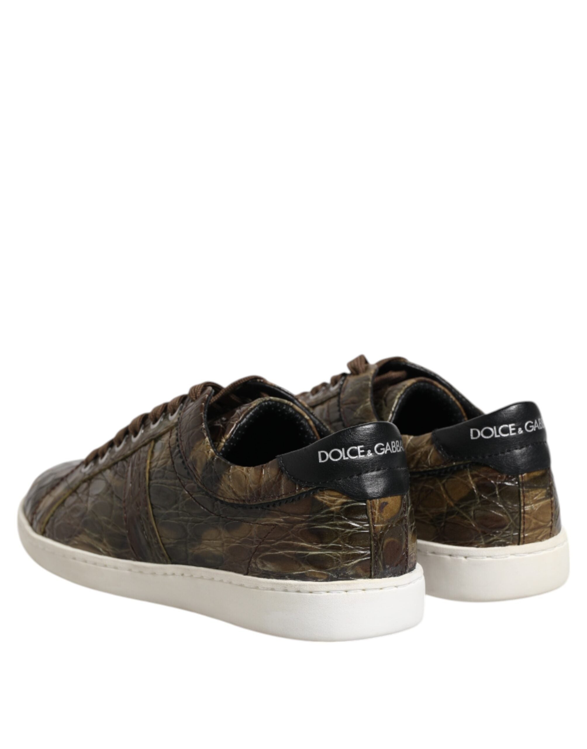 Baskets basses Dolce &amp; Gabbana en cuir exotique marron