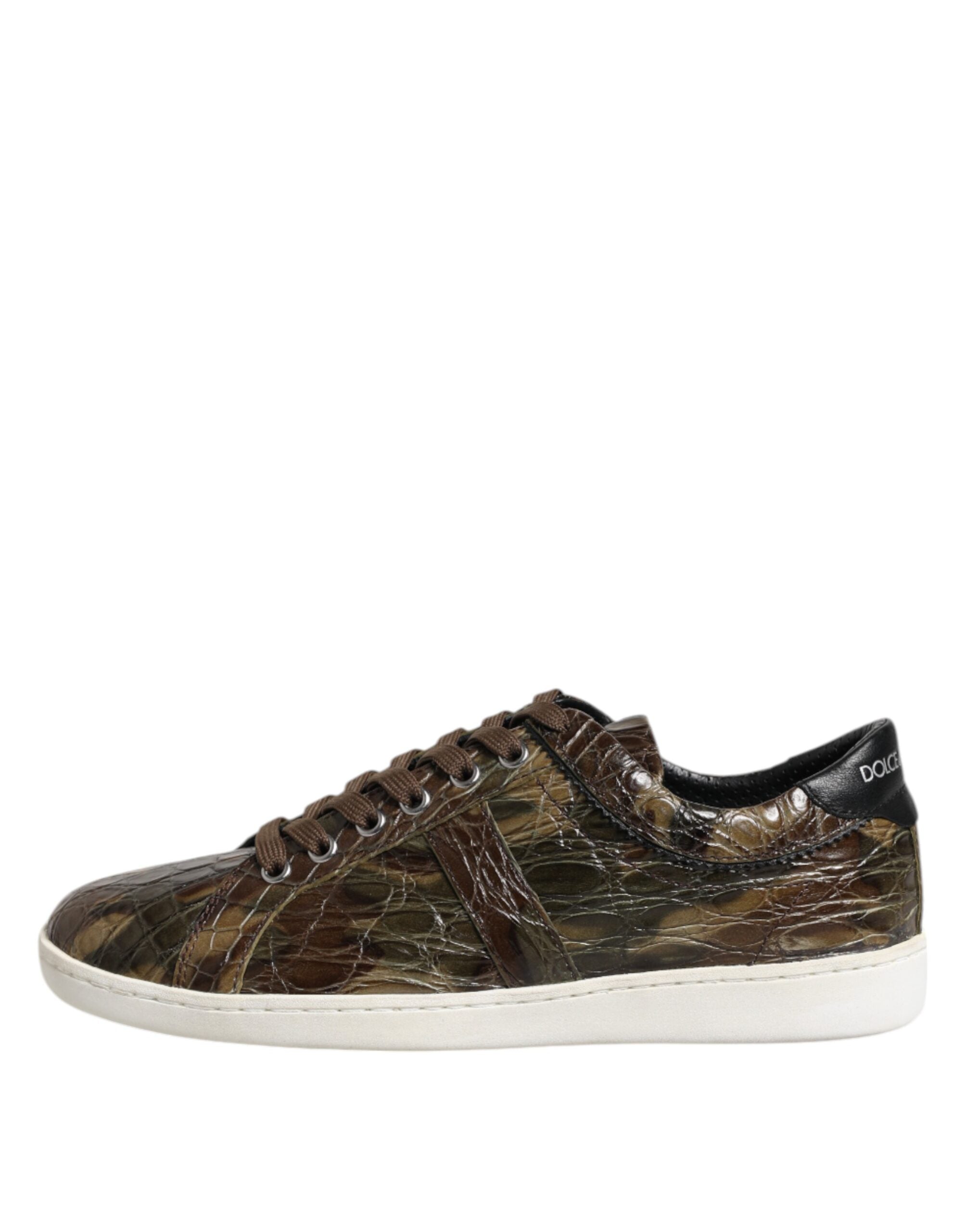 Baskets basses Dolce &amp; Gabbana en cuir exotique marron