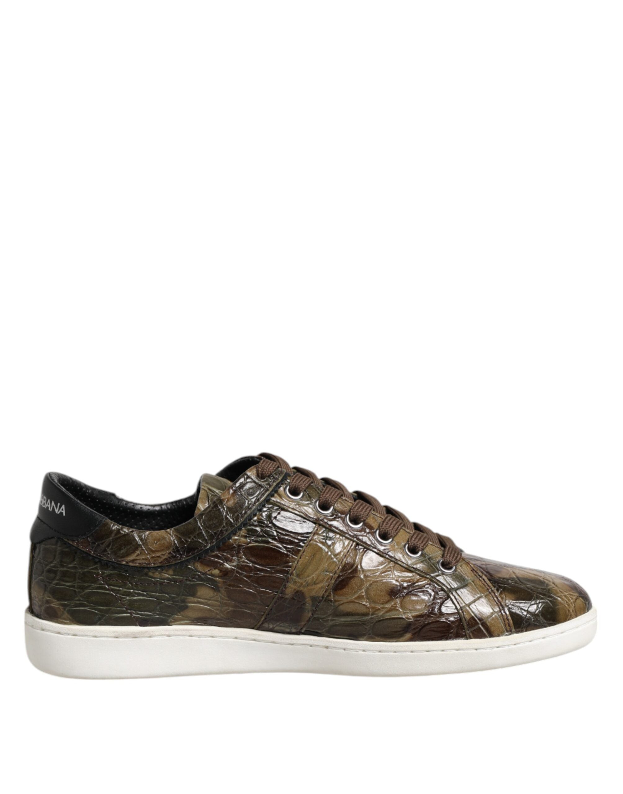 Baskets basses Dolce &amp; Gabbana en cuir exotique marron