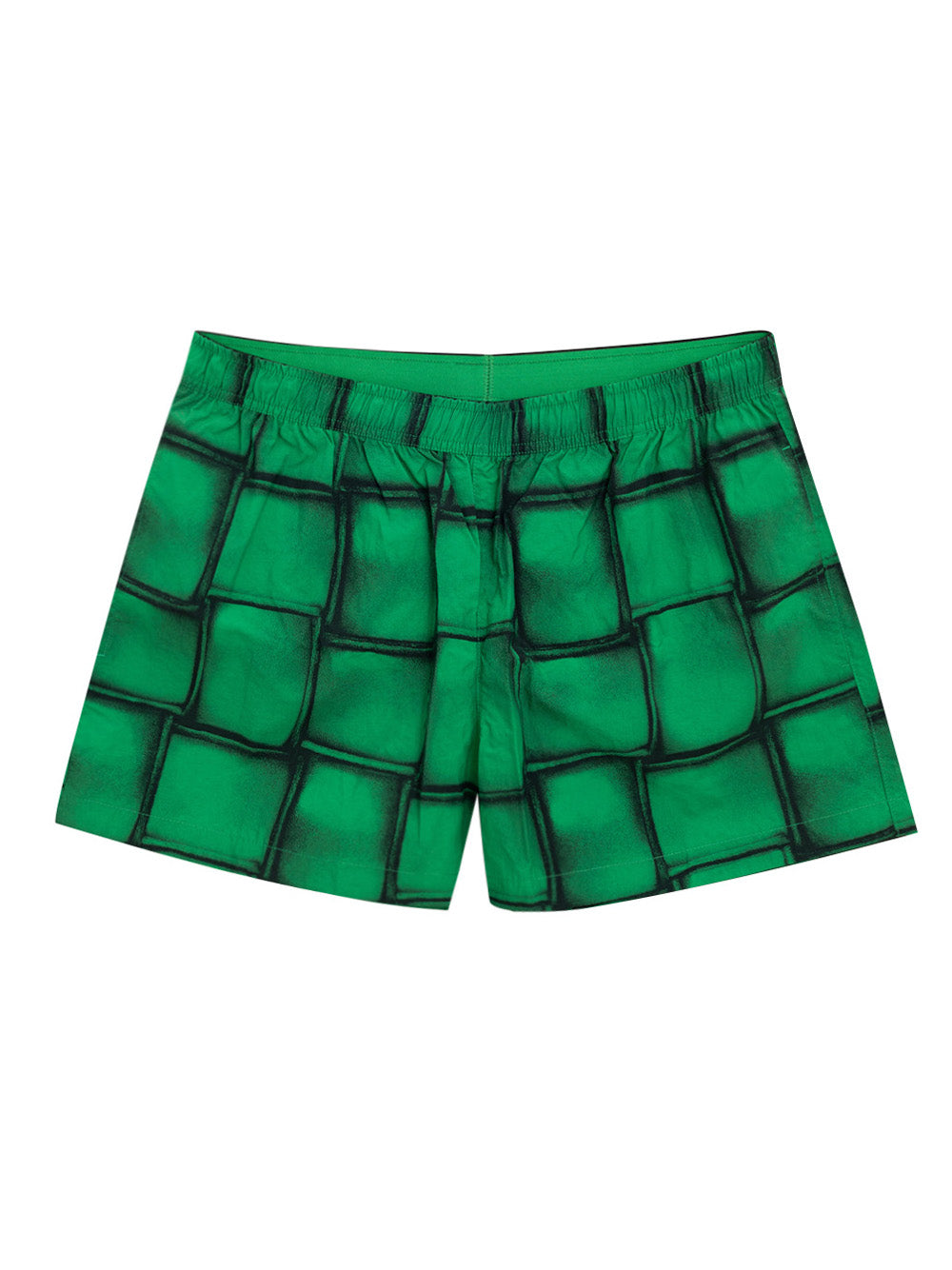 Bottega Veneta Box Print Swim Boxer