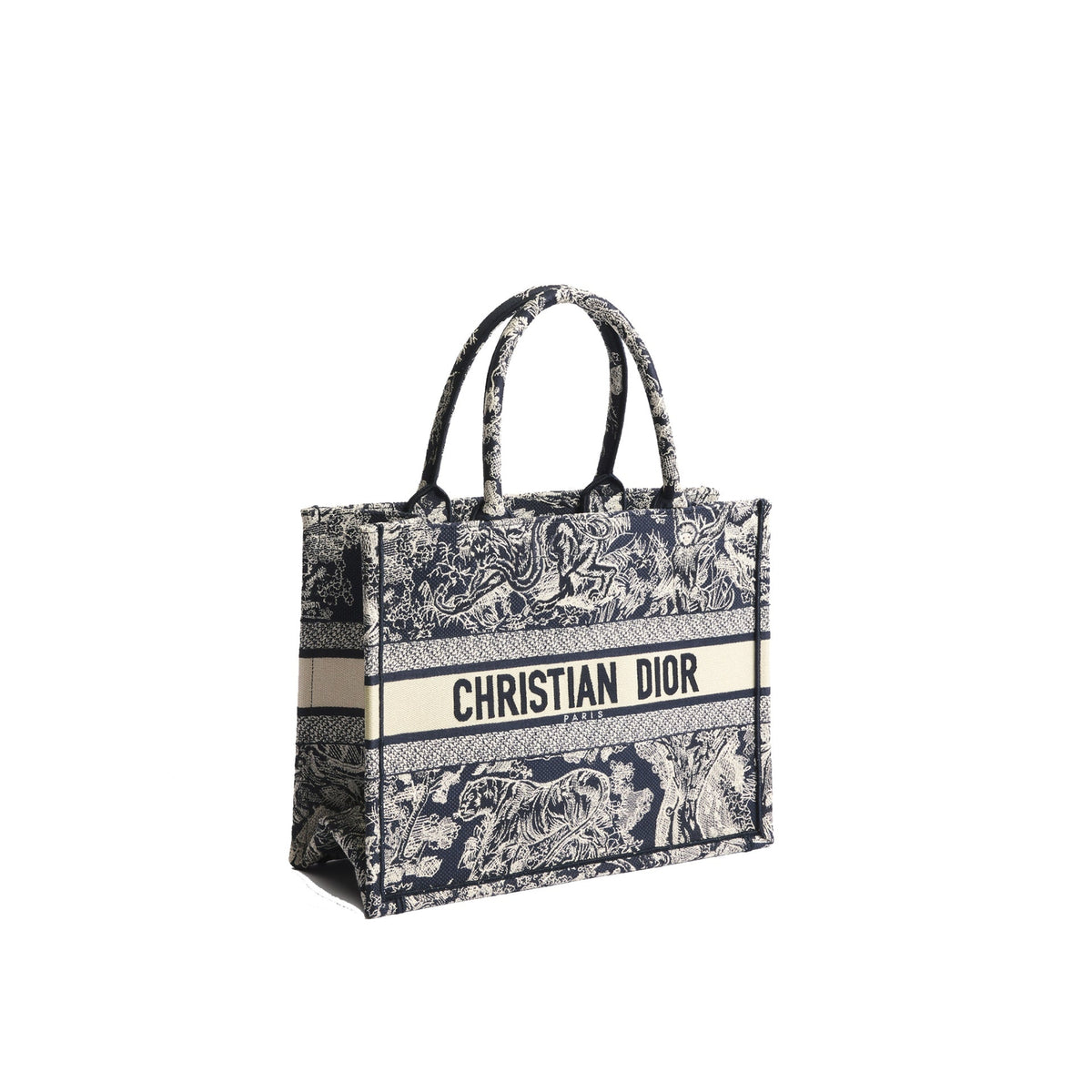 Dior Medium Book Tote Bag