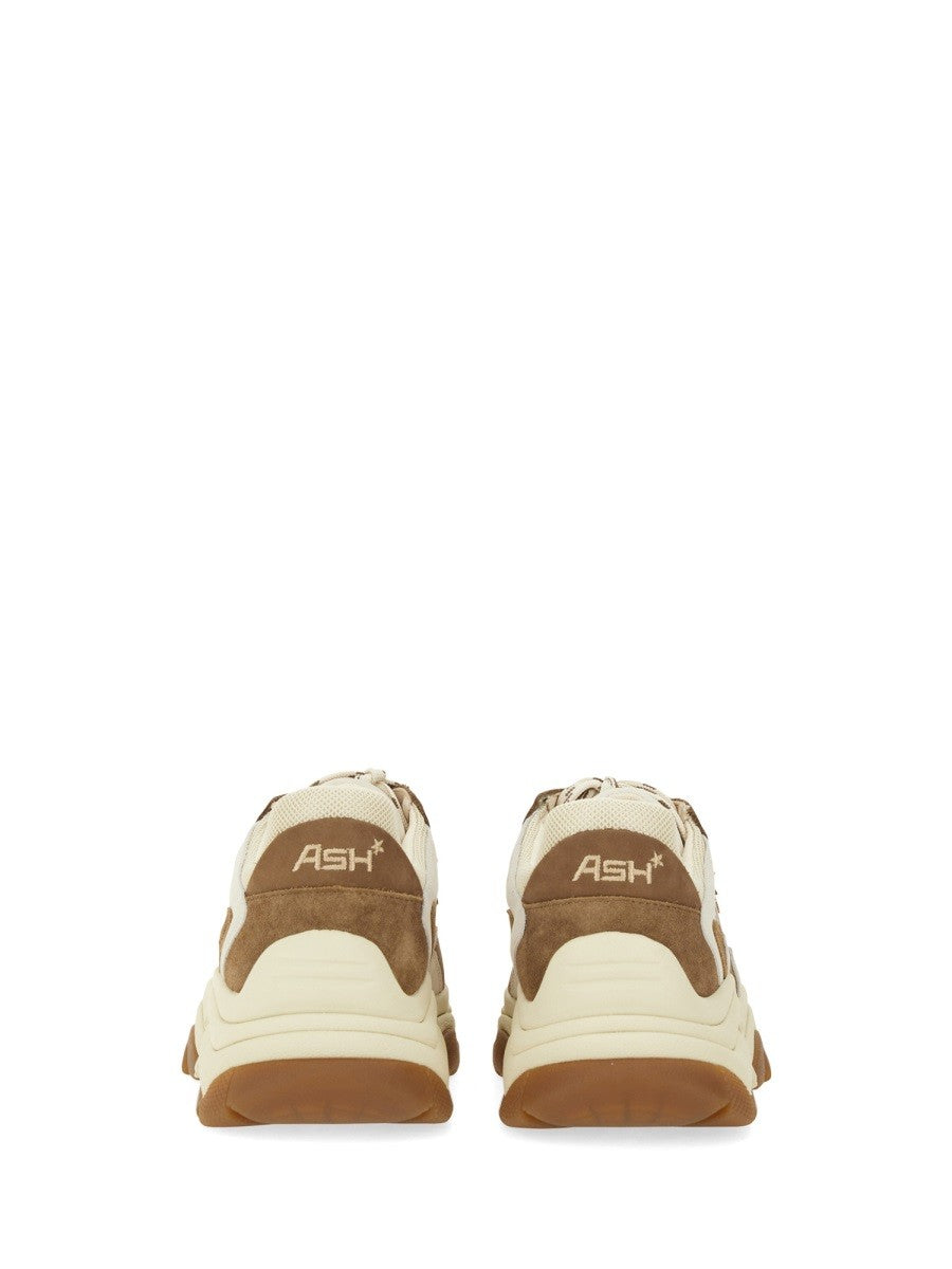 Ash SNEAKER "ADDICT"