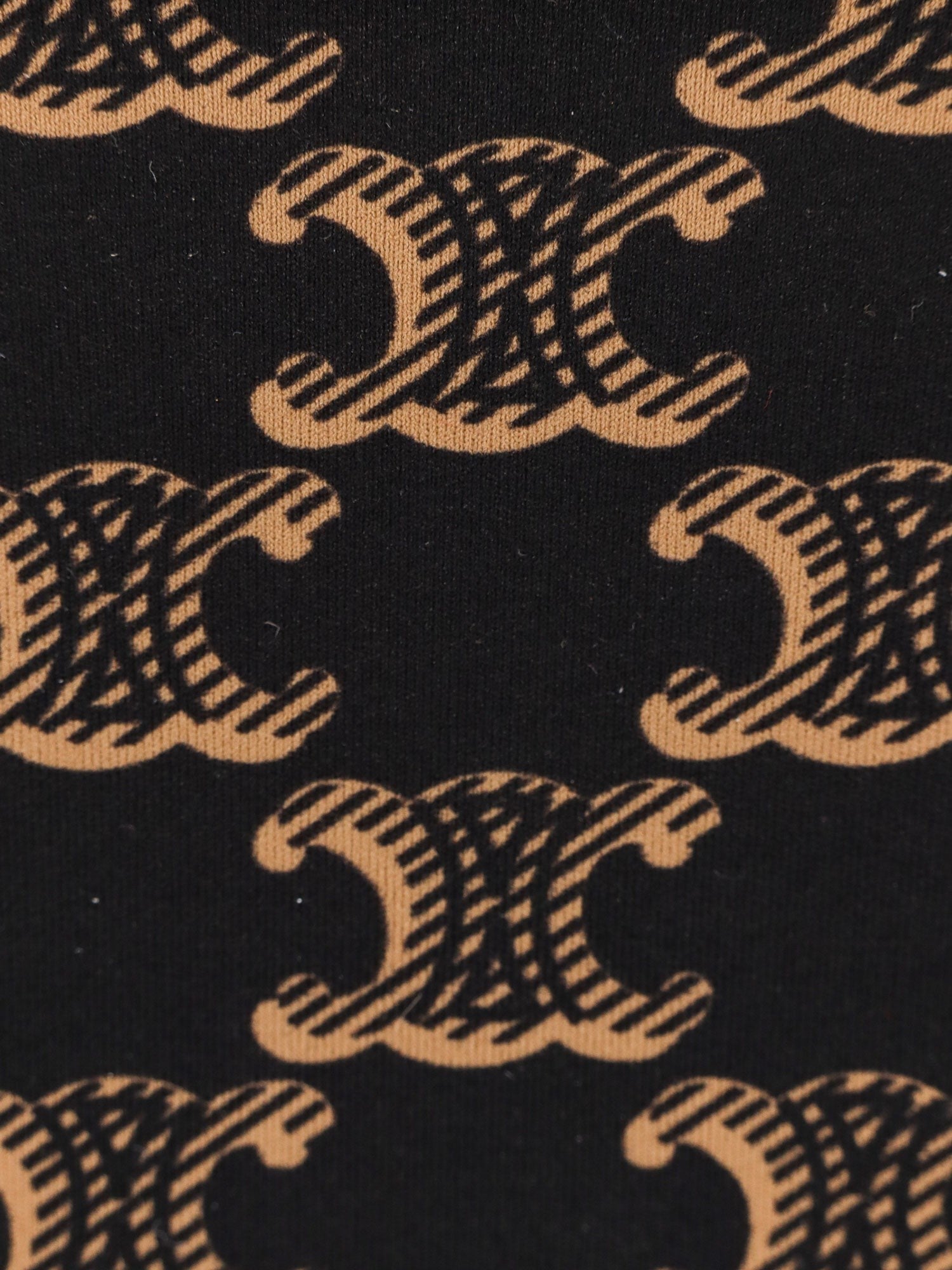 Celine Bikini slip with Triomphe print