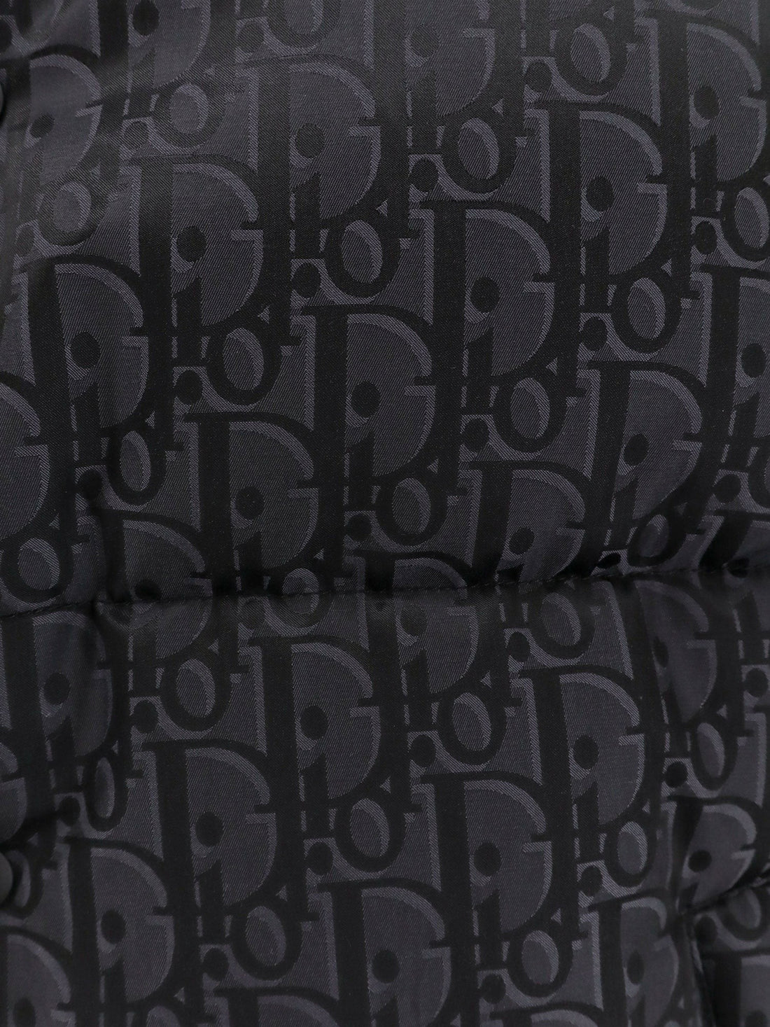 Dior Dior Oblique sleeveless jacket