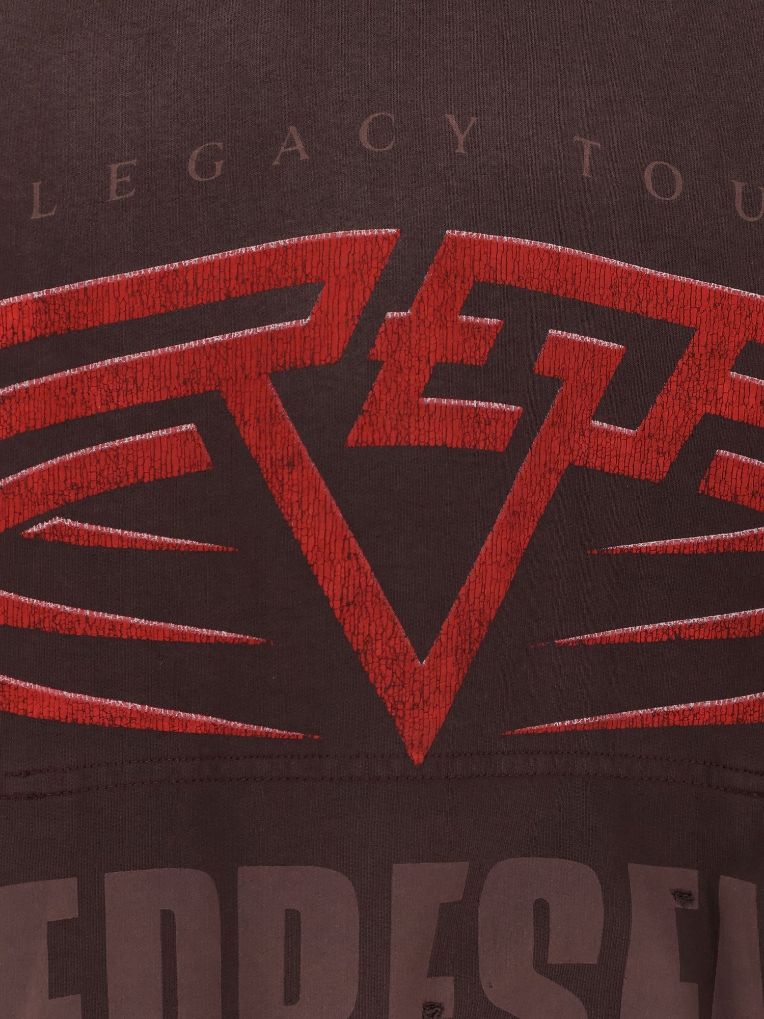 Represent Living Legacy reversible cotton hooded sweatshirt