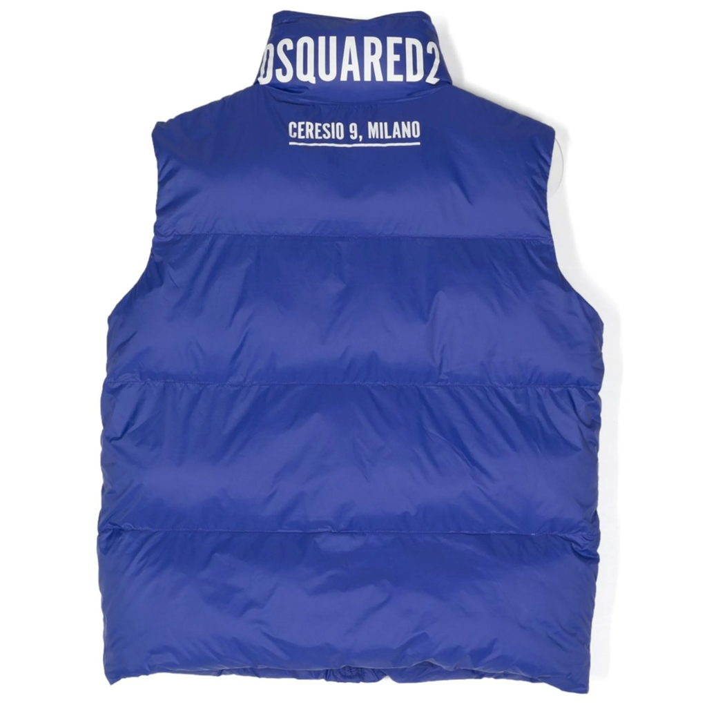 dsq2 gilet