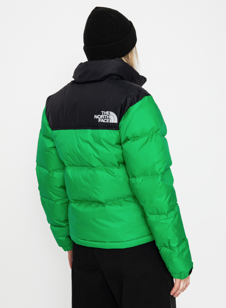 The North Face Man Green Jackets