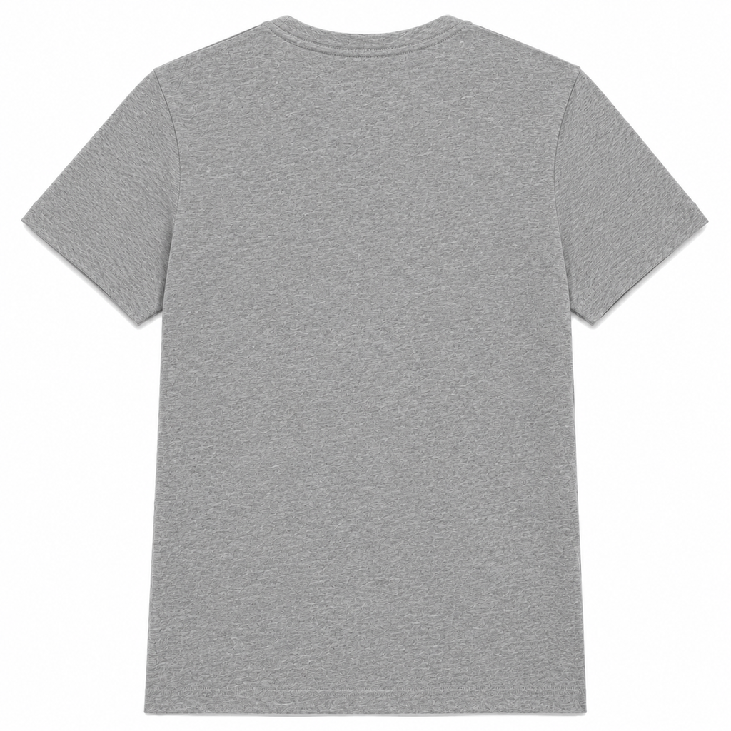 Balmain Man Grey T-shirt & Top