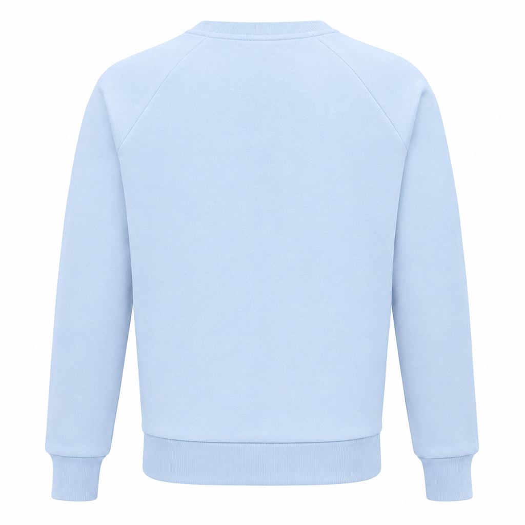 Balmain Man Light Blue Sweatshirts