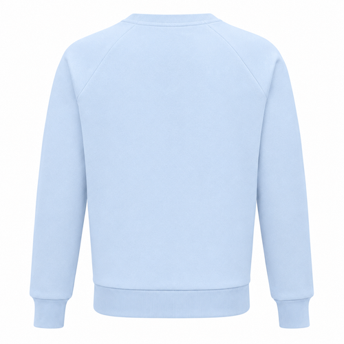 Balmain Man Light Blue Sweatshirts