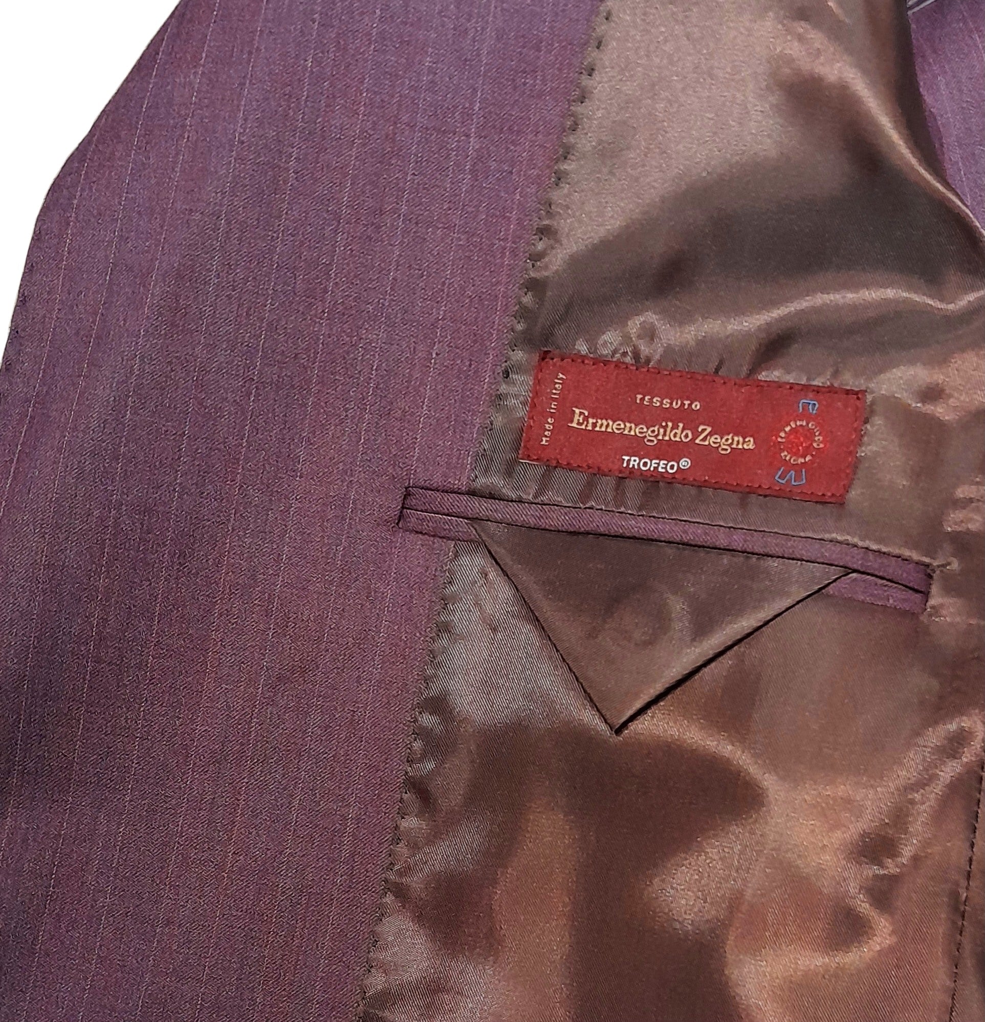 Ermenegildo Zegna Fabric Man Purple Suit