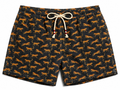 lighting leopard anml
