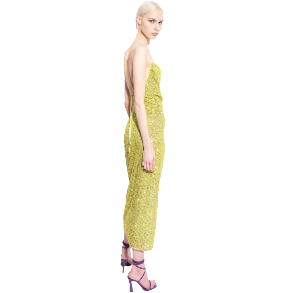 Pinko Woman Skirt Linz Green