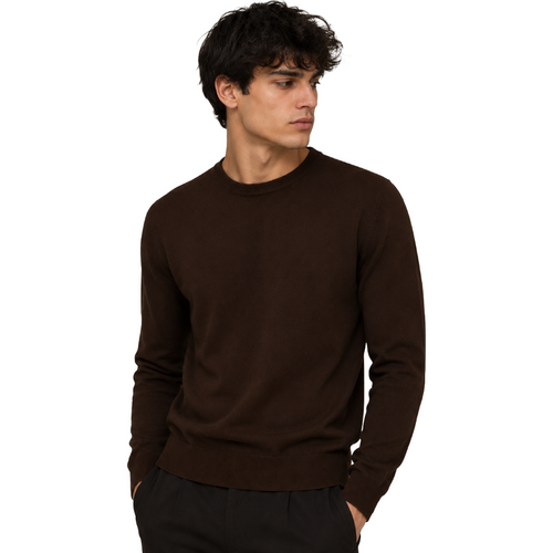 Alpha Studio Man Knit Crew Neck Silk Cashmere Brown
