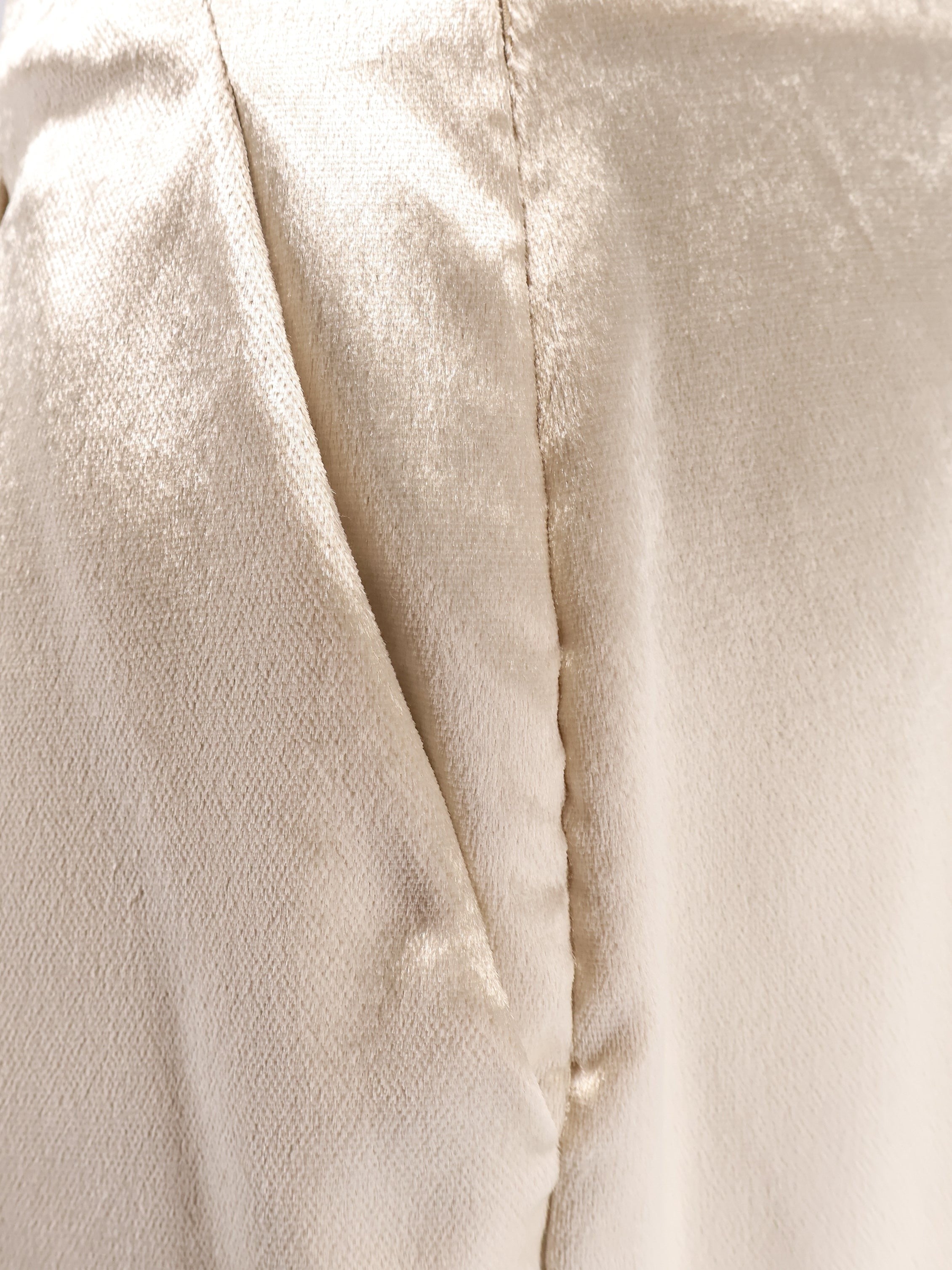 alberta ferretti Velvet trousers